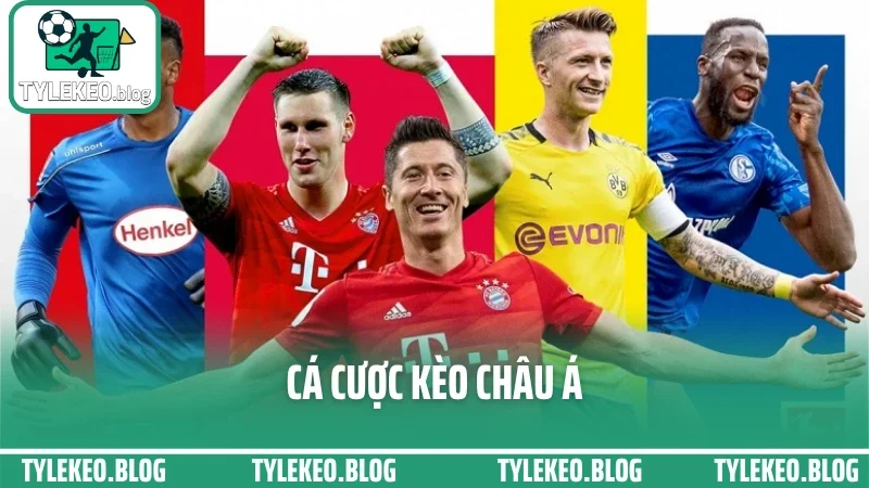 Cá Cược Kèo Châu Á - Bắt Kèo Trên Dưới Chuẩn Dựa Vào Biến Động