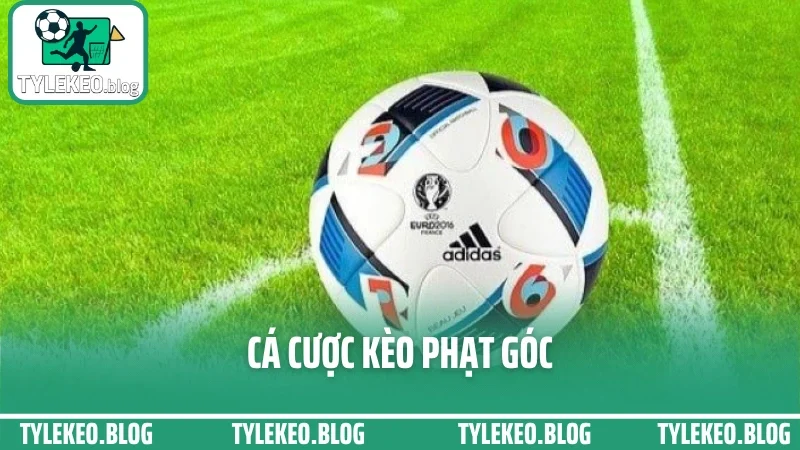Cá Cược Kèo Phạt Góc - Dựa Vào Lối Chơi Để Bắt Cửa Tốt Nhất