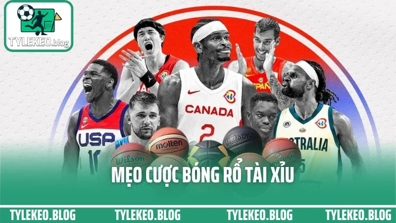 Cược Bóng Rổ Tài Xỉu Như Thế Nào? Mẹo Xem Điểm Trung Bình Dễ Ăn Tiền
